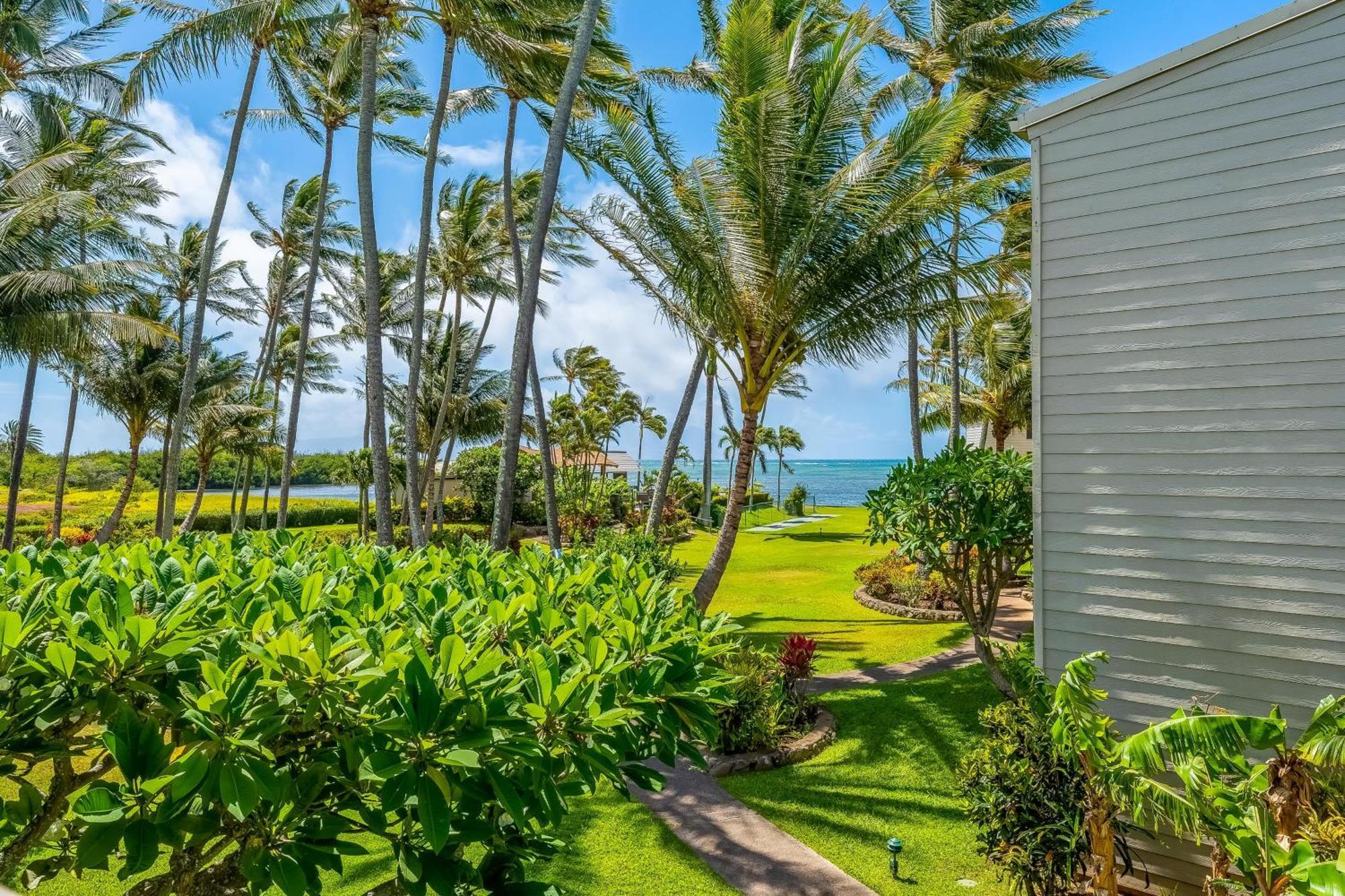 Wavecrest Apartment Kaunakakai Bilik gambar